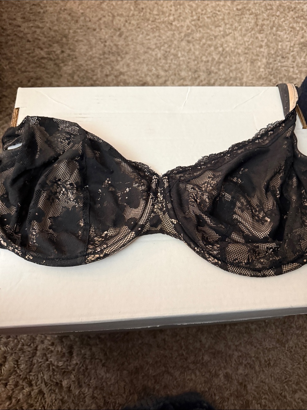 Cacique Black Lace Underwire Bra with Sheer Floral Overlay